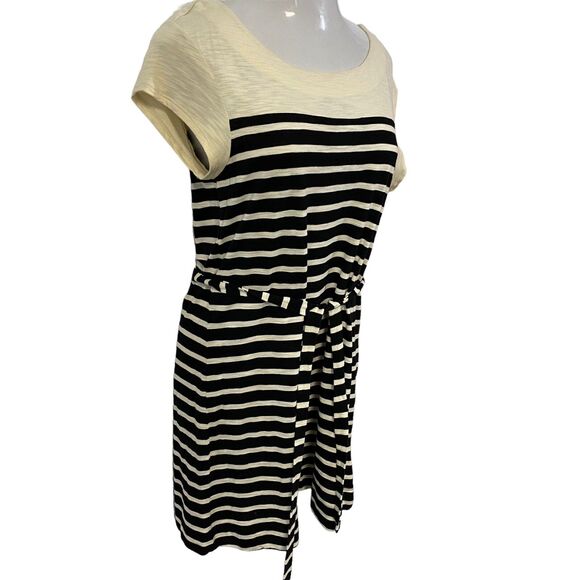 Merona Dress Womens Medium Stripe Belted Coastal Preppy Nautical Black Cream - Picture 8 of 15